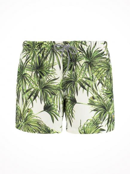 Shiwi Zwemshort Jungle Leaves multi color Shiwi Zwemshort Jungle Leaves multi color