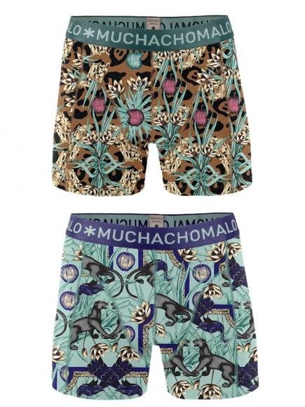 Muchachomalo Boys 2 Pack Short Print Paradise muchachomalo kopen in de aanbieding Muchachomalo Boys 2 Pack Short Print Paradise muchachomalo kopen in de aanbieding